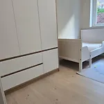 Modern House