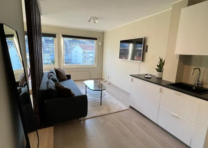 Modern Apartment Only 5 Minutes From City Centre