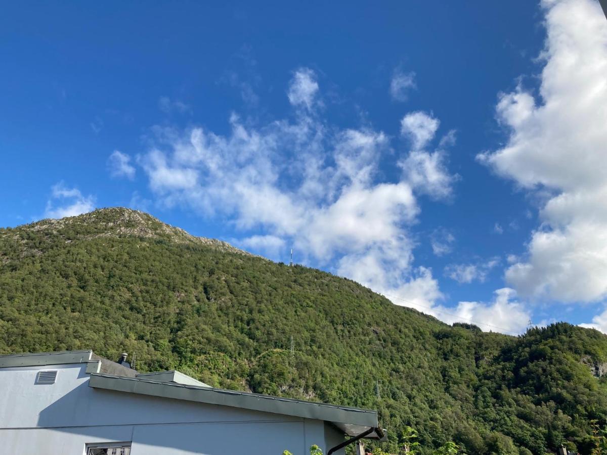 Kjellerleilighet - Nært Haukeland Sykehus. Leilighet