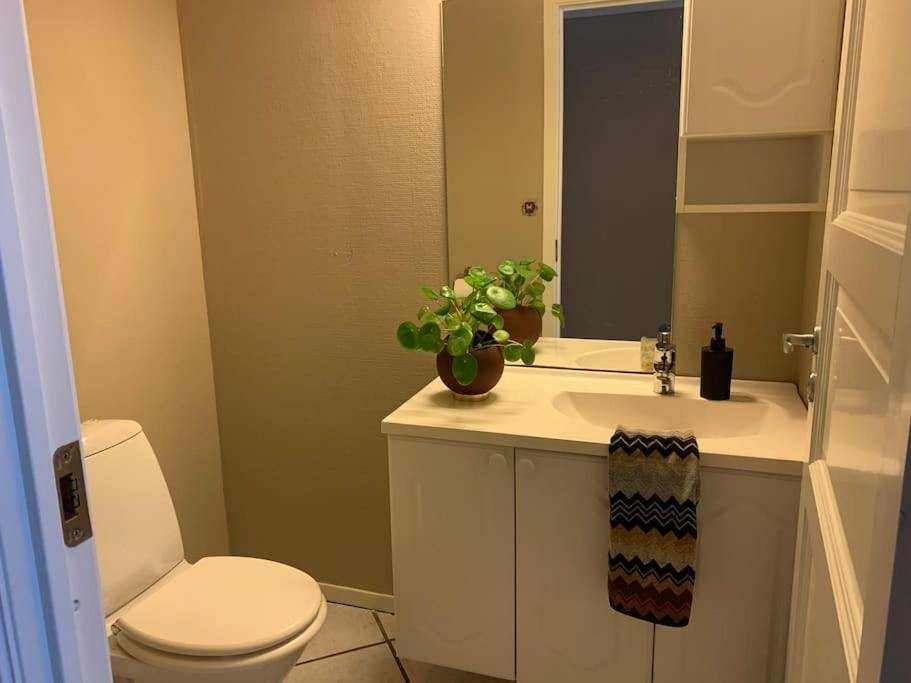 Apartment Sentrumsnaer Med 3 Soverom.