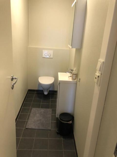 Vetrlidsalmenningen Apartment *