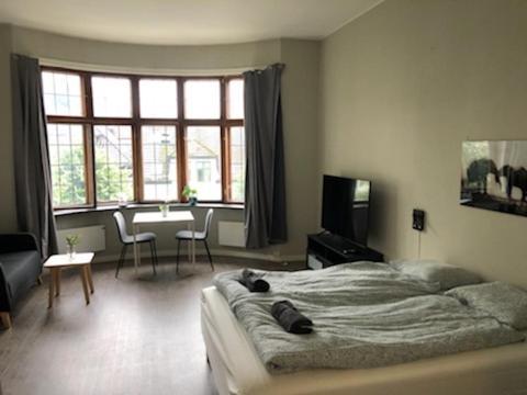 Vetrlidsalmenningen Apartment Bergen
