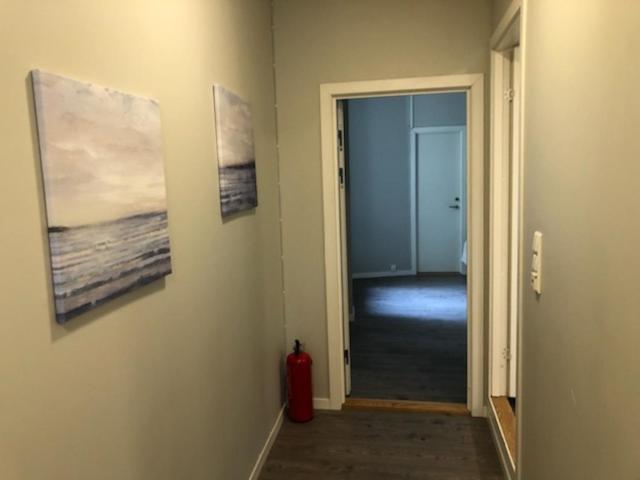 Vetrlidsalmenningen Apartment Bergen
