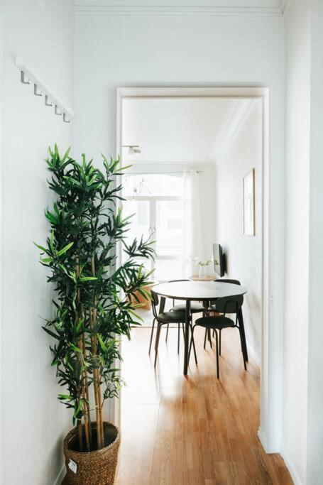 Center Apartment