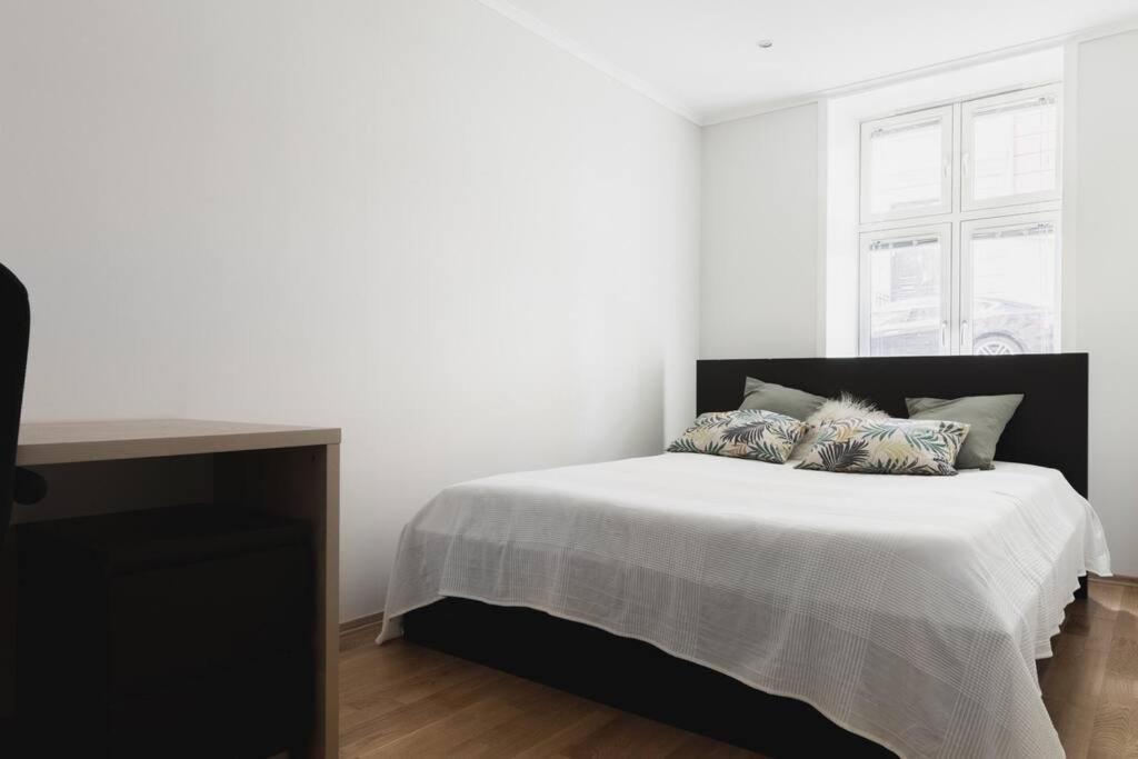 Large Modern In Center! Apartment