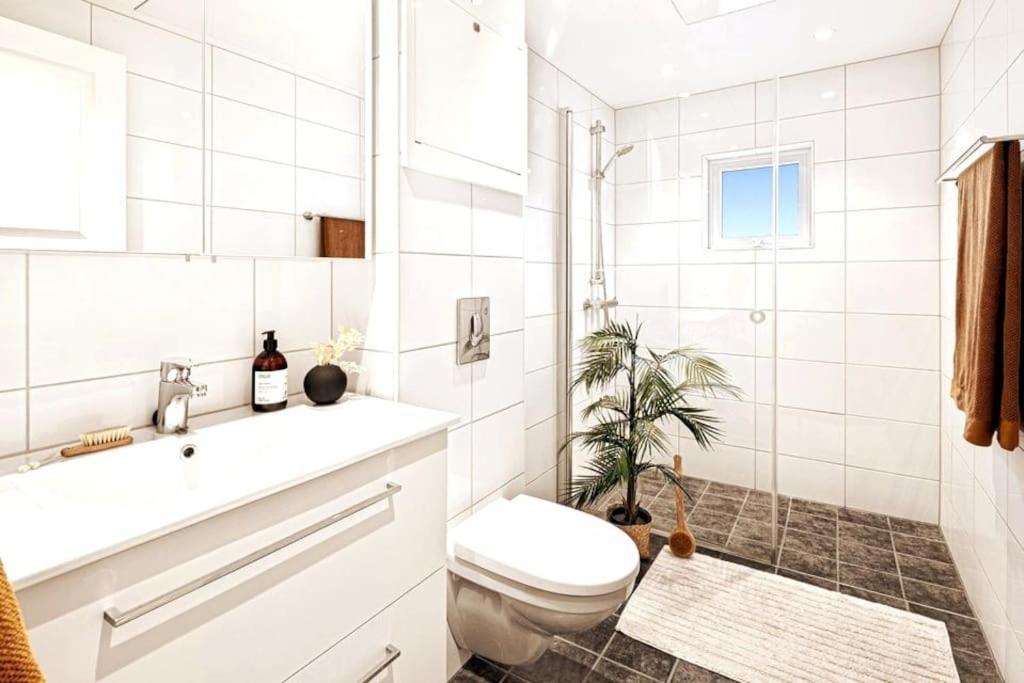 Apartment Private In Centre, Shared Appartment, Free Parking *