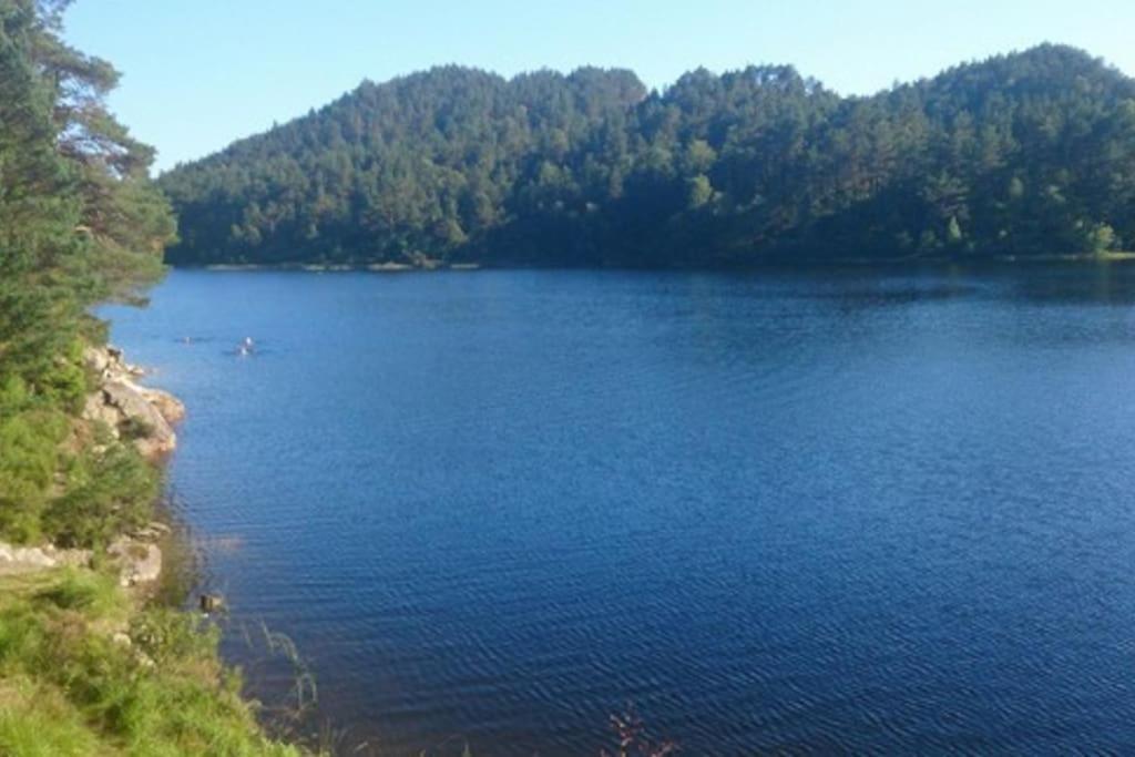 Leilighet Perfect Getaway 7 Min To Centrum *