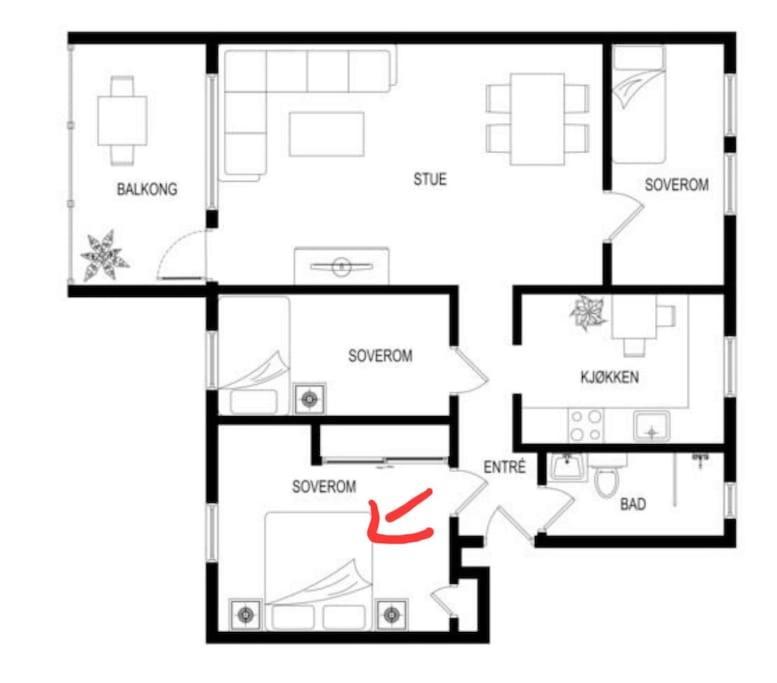 Apartment Private In Centre, Shared Appartment, Free Parking Bergen