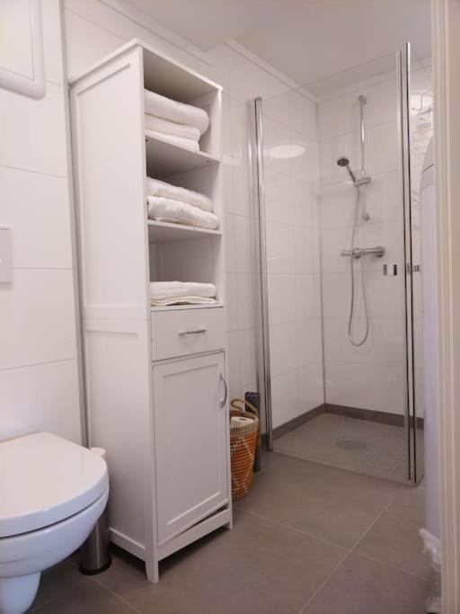 Lägenhet Kjellerleilighet I Fana Til Leie-med Gratis Parkering Og Mange Kollektiv Reisemuligheter Bergen