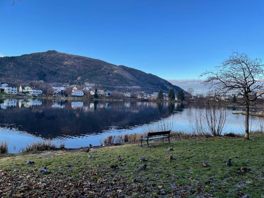 Apartment 84m2 3 Sleeping Which Direct Traffic To Airport And Center Bergen