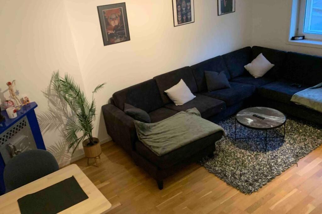Super Cozy In The Heart Of City Bergen
