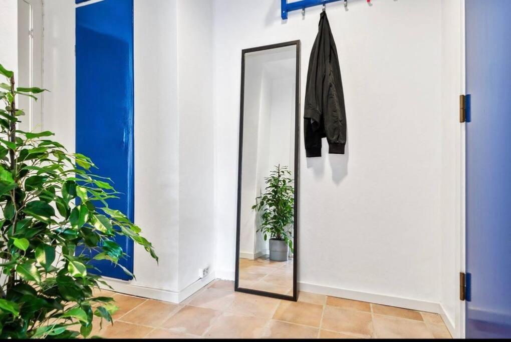 Apartment Super Cozy In The Heart Of City *