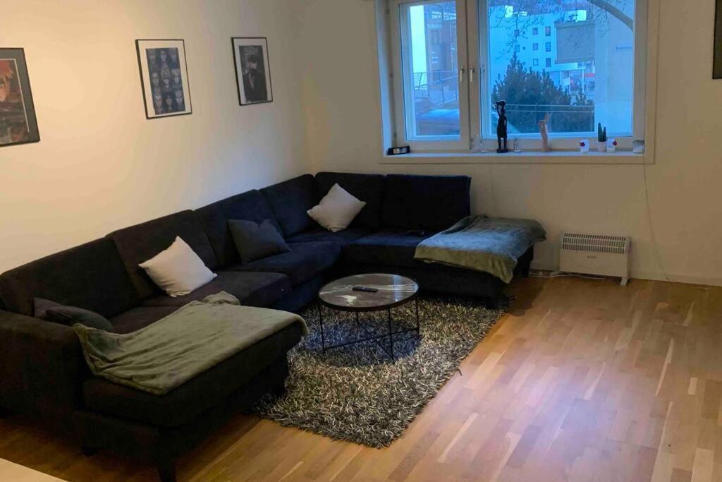 Apartment Super Cozy In The Heart Of City