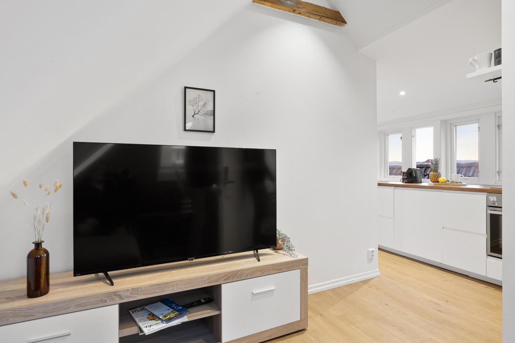 Apartment Modern Penthouse With A View - Behind Bryggen *