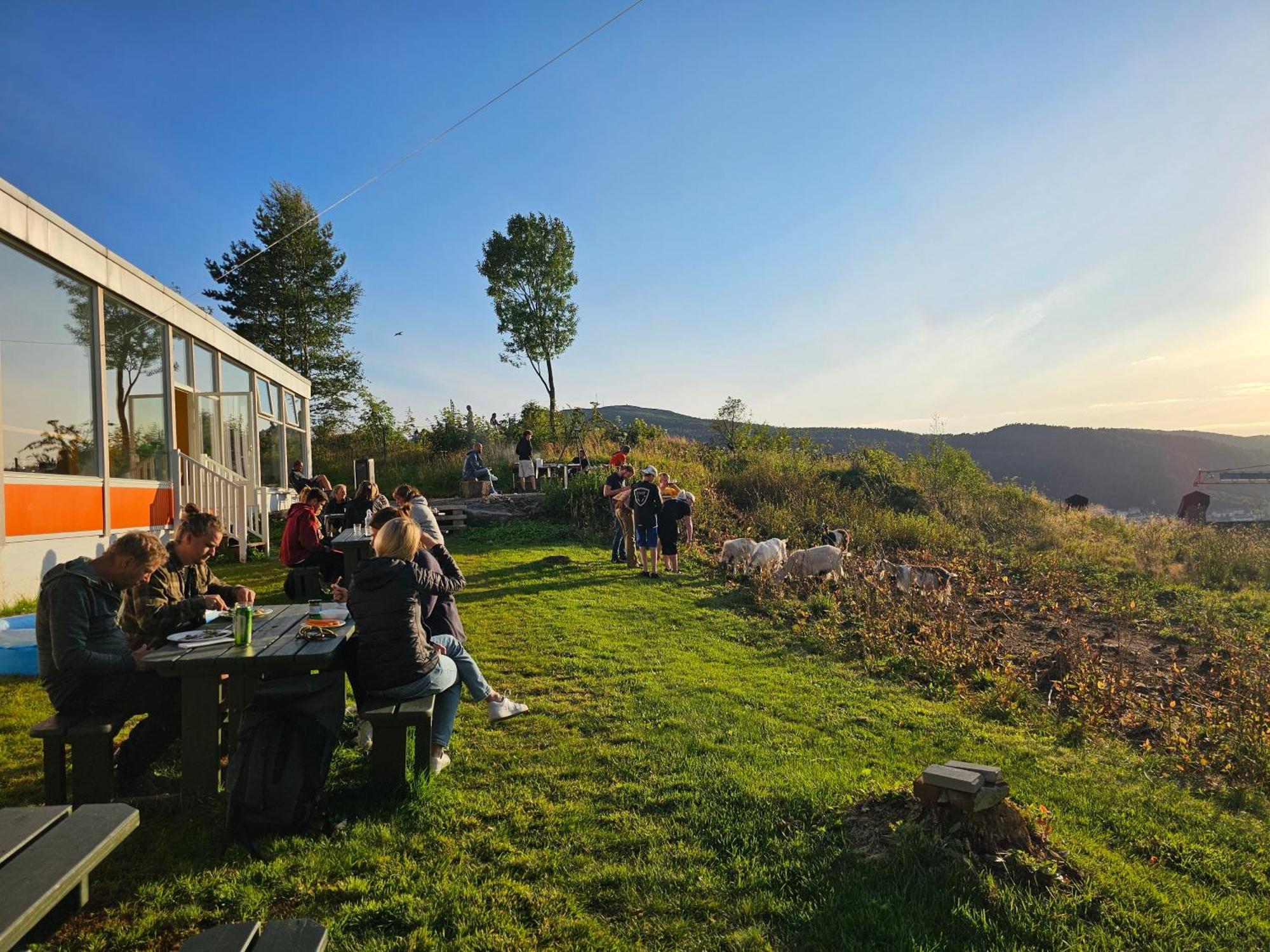 Montana Hostel Bergen