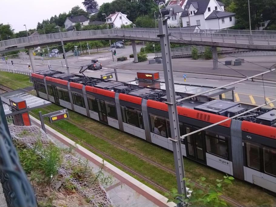 Kjellerleilighet I Fana Til Leie-med Gratis Parkering Og Mange Kollektiv Reisemuligheter Lägenhet Bergen