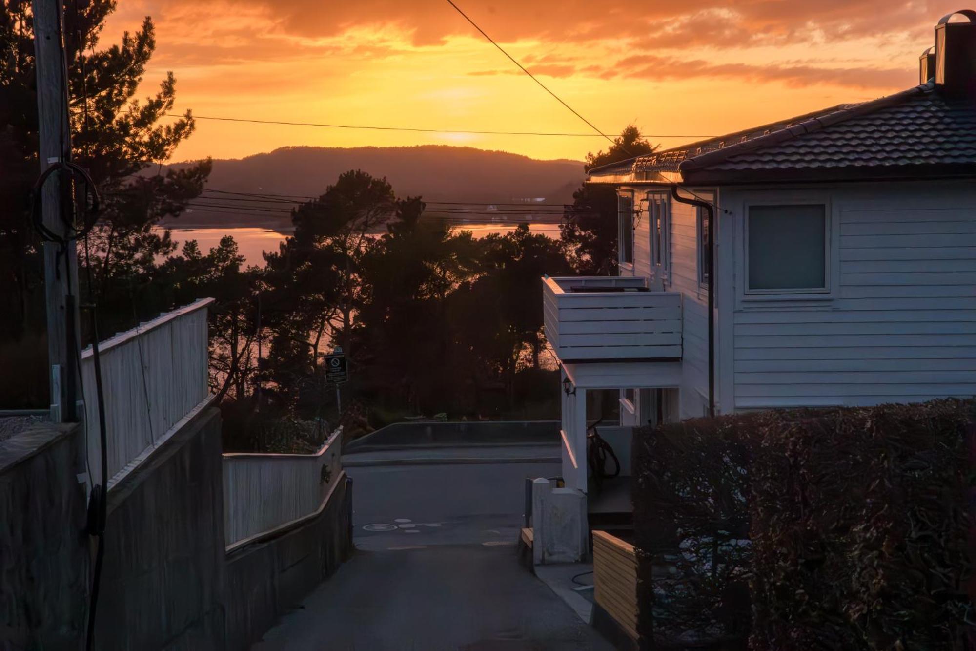Golden Fjord-view
