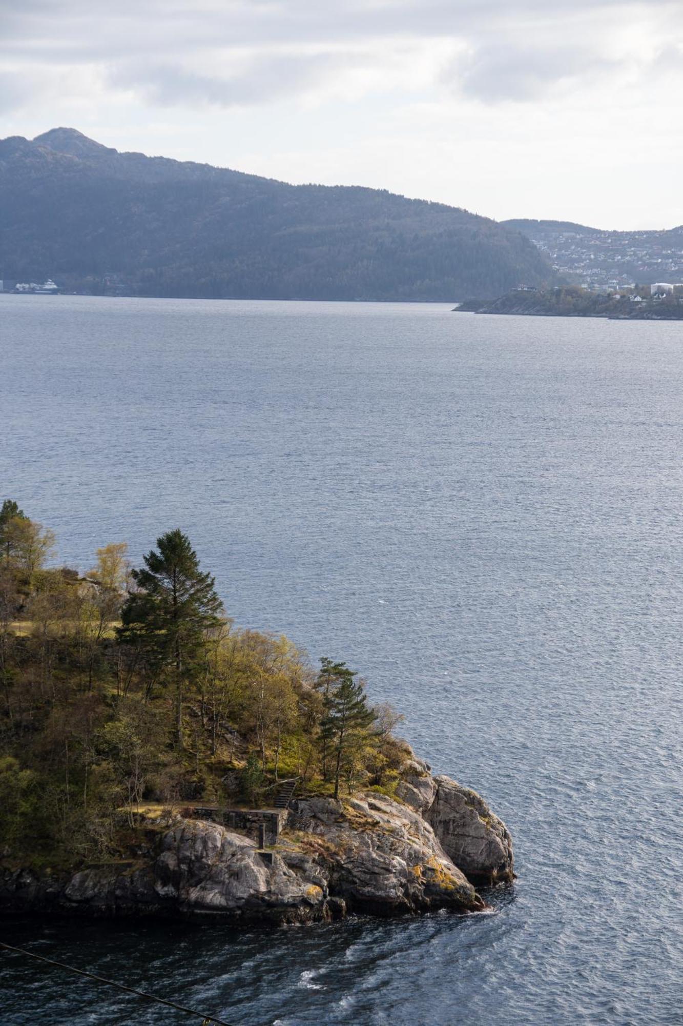 Golden Fjord-view