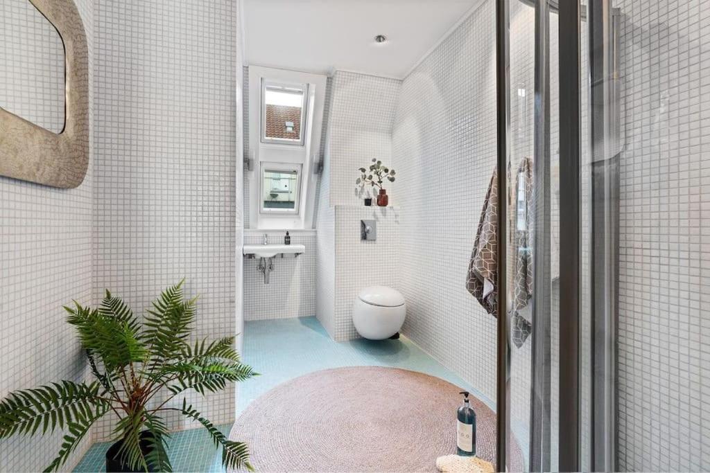 Exclusive Penthouse With Terrace Bergen