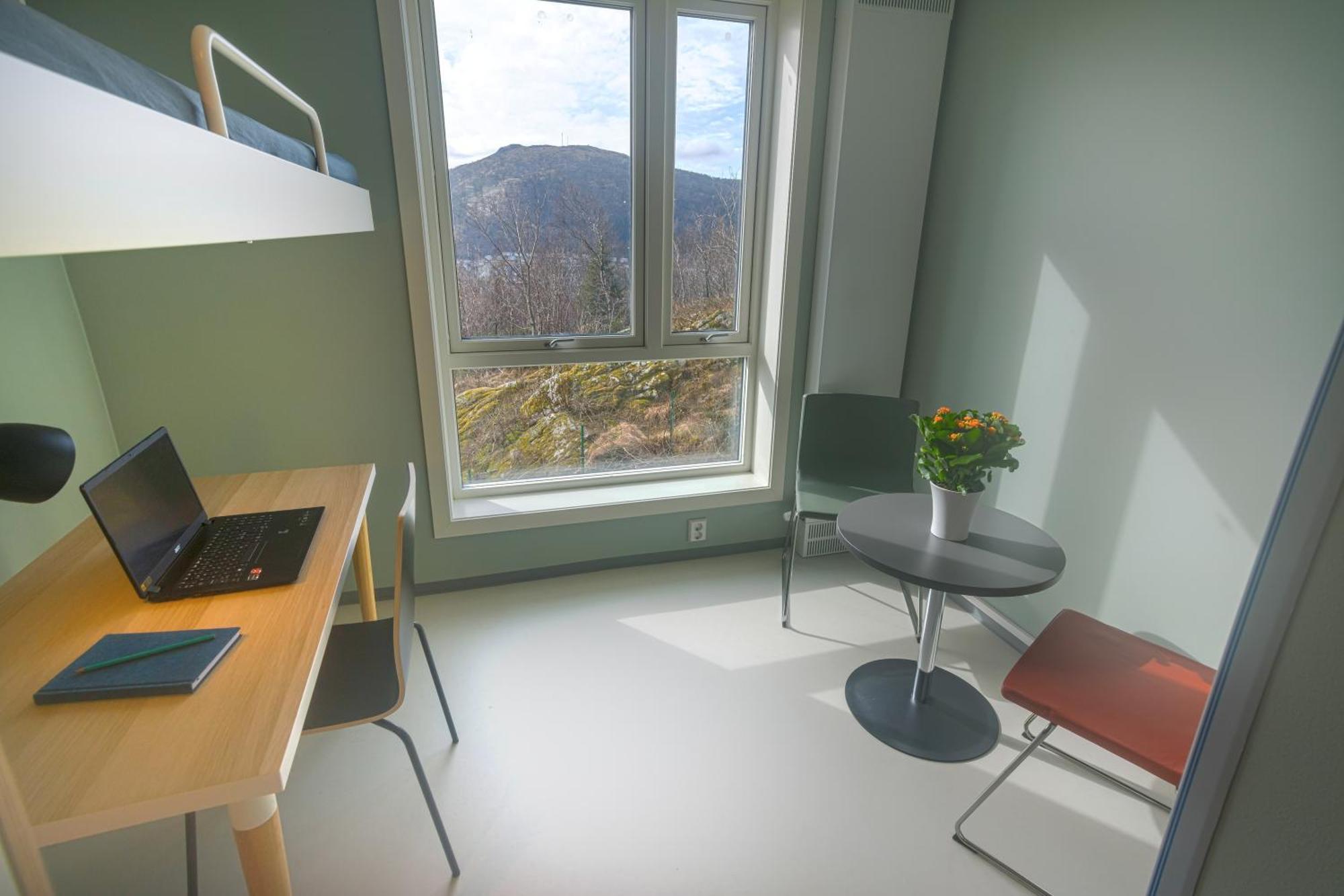 Montana Hostel *