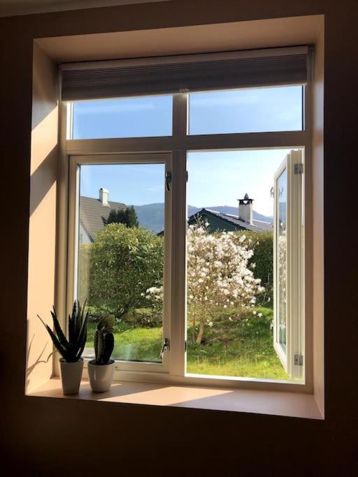 Bynaer Og Fin Leilighet, Stor Privat Terrasse! Apartment Bergen