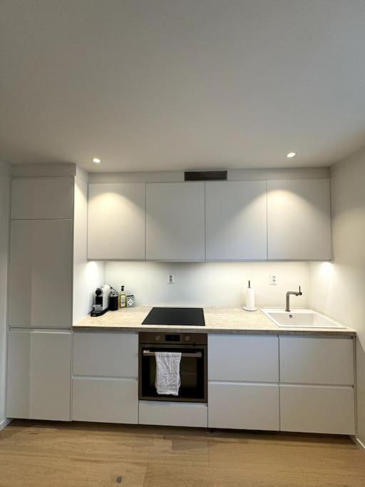Apartment Leilighet I Bergenshus *