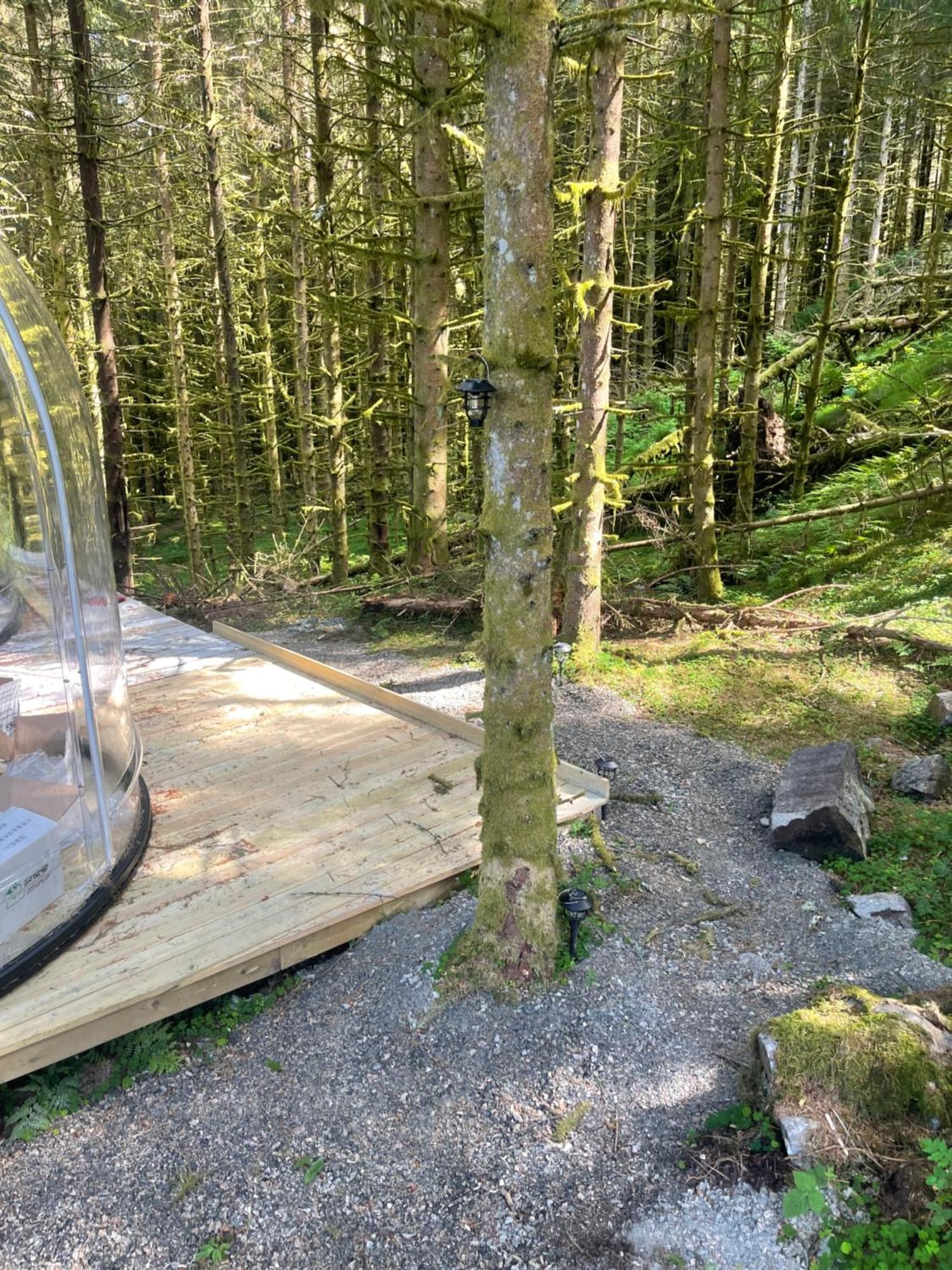Lägenhet Magical Forest Haven Dome