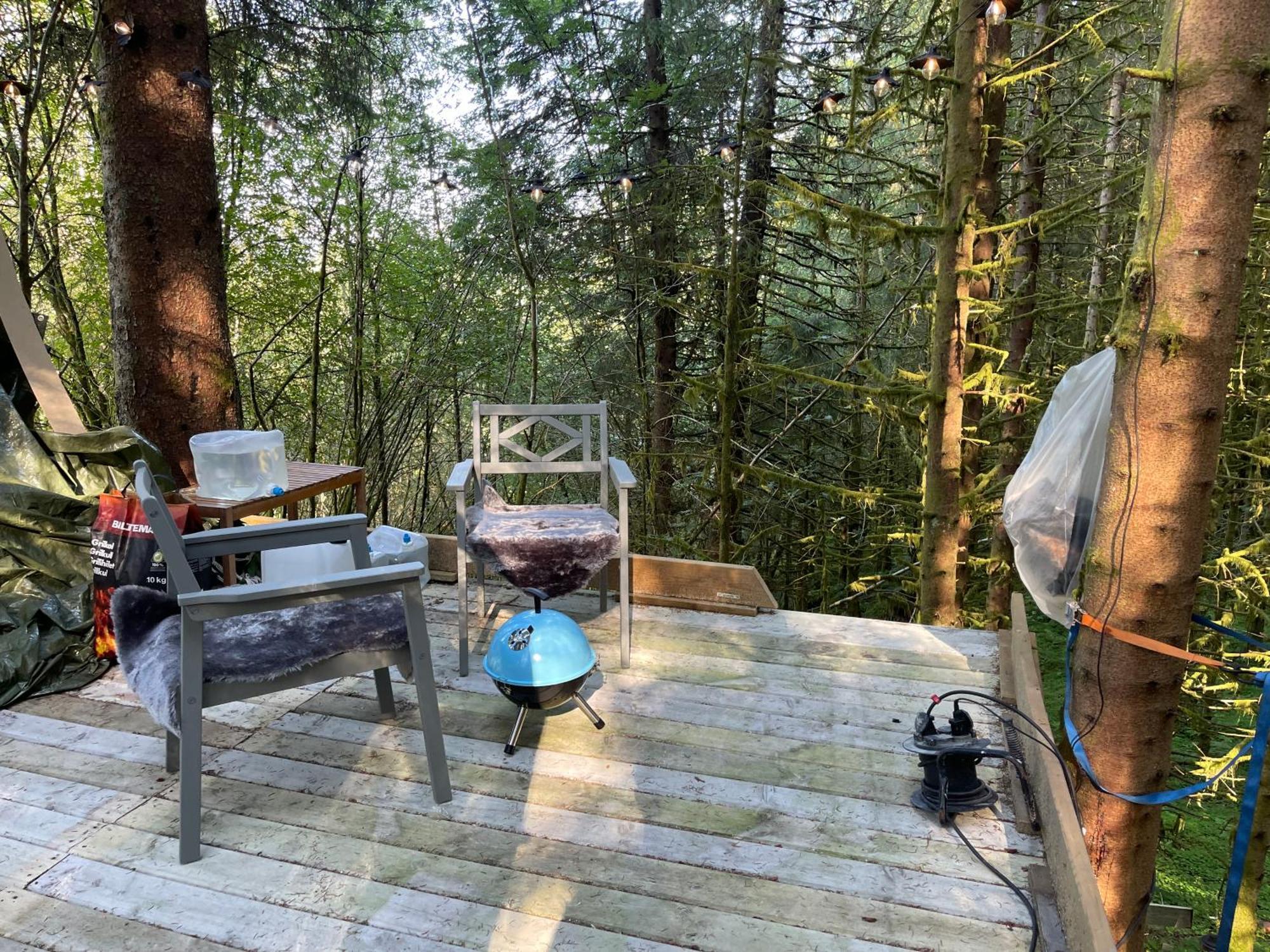 Magical Forest Haven Dome