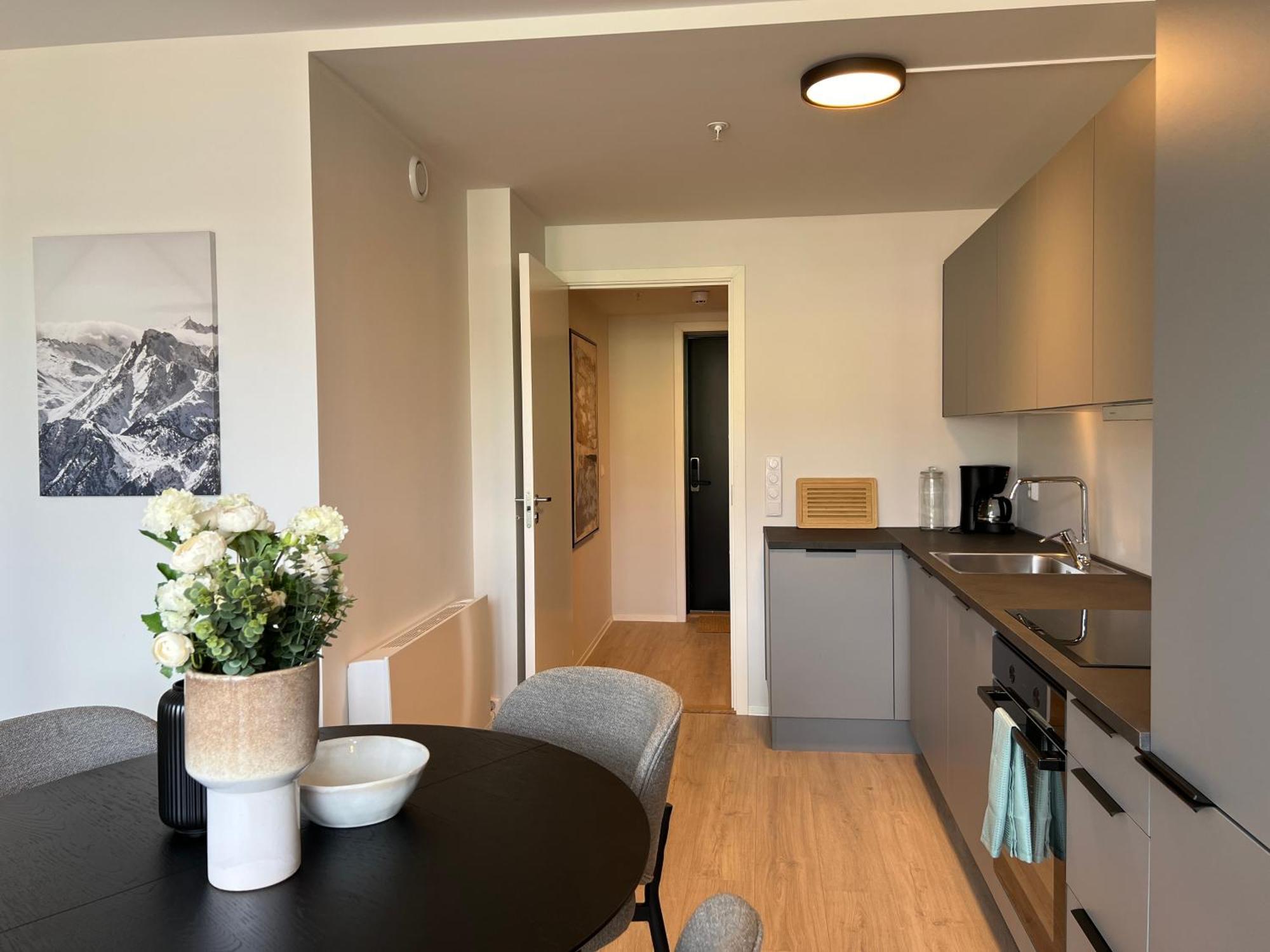 Hoyegaarden Apartment *