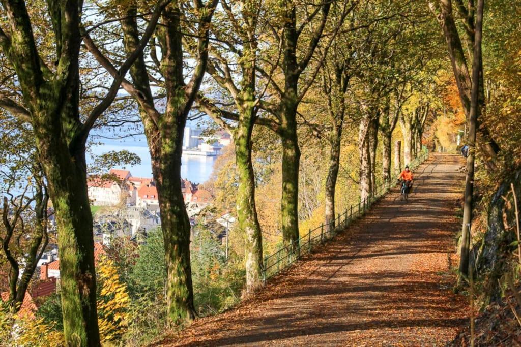 Apartment Dinbnb I 300m To Bryggen & Floien I Renovated 2023 Bergen