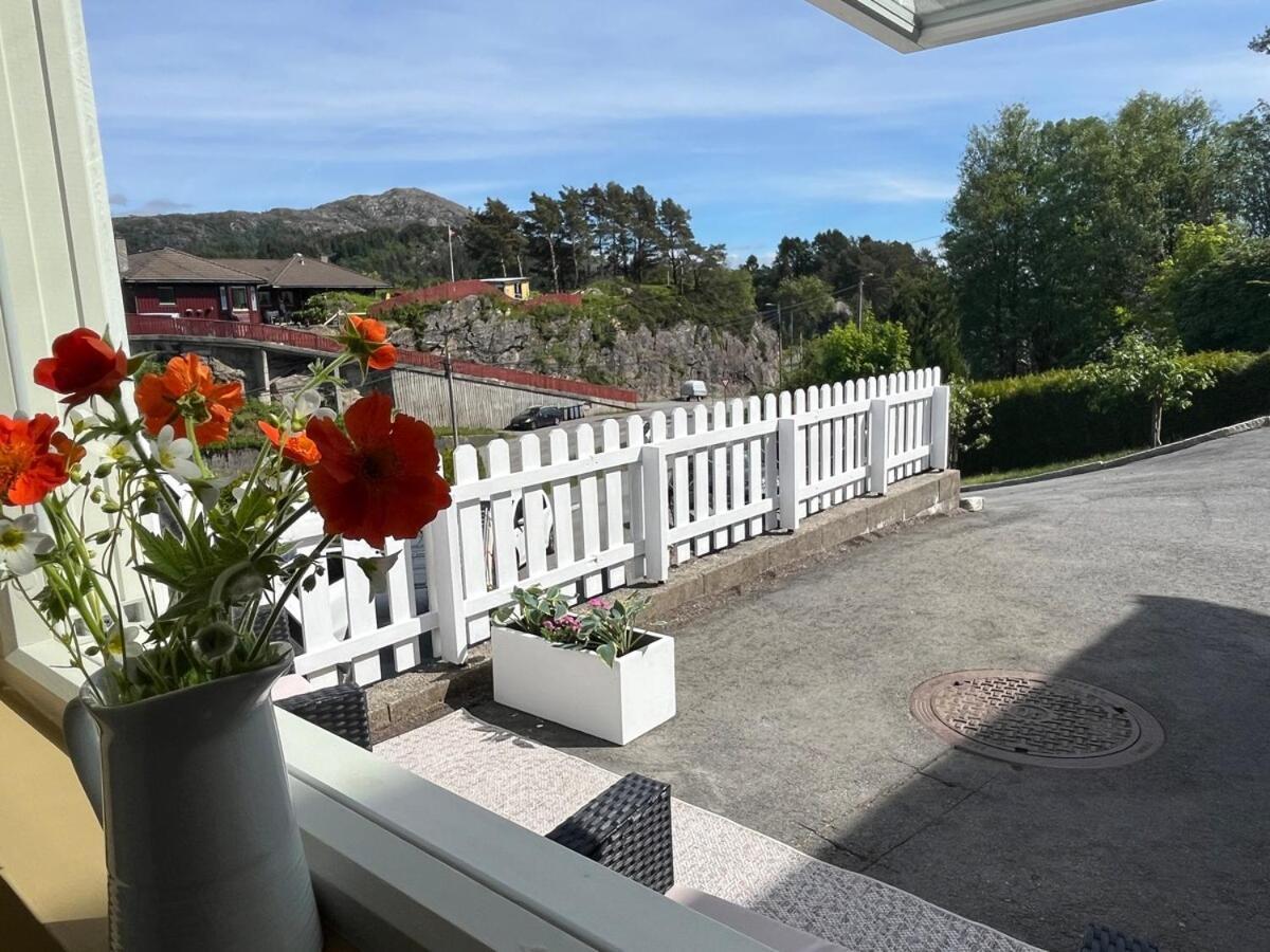 Cozy Near Leilighet Bergen