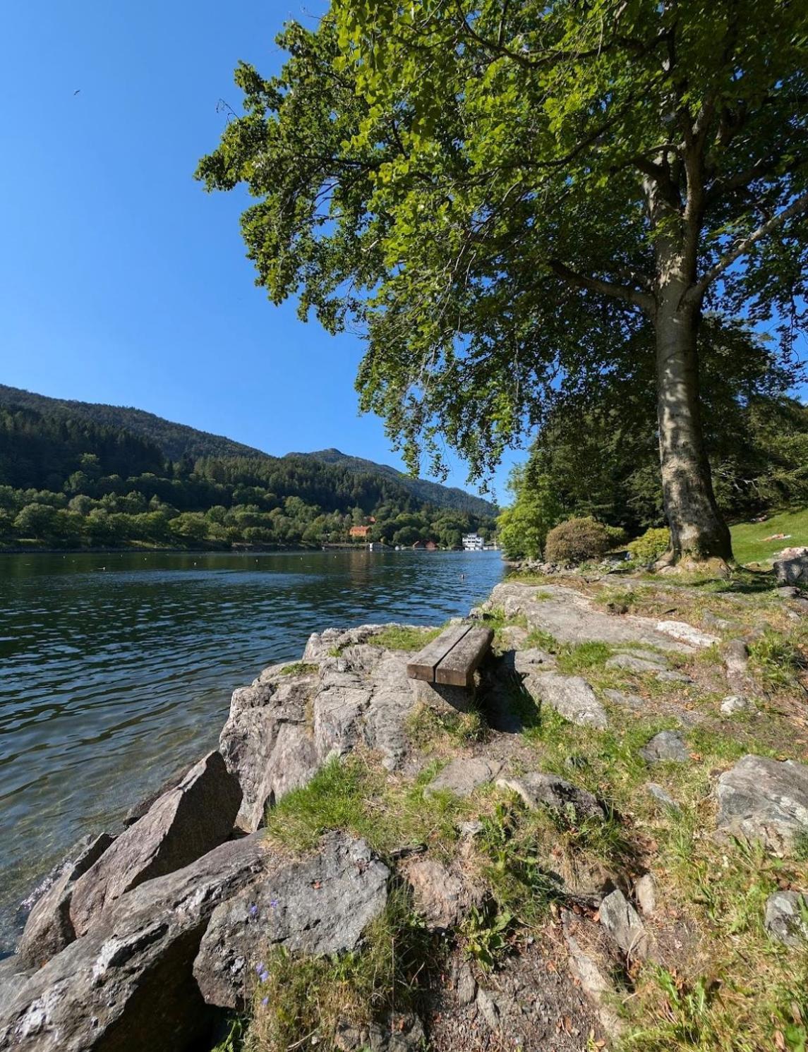 Bright Near The Castle Free Parking Comfort & Elegance * Bergen