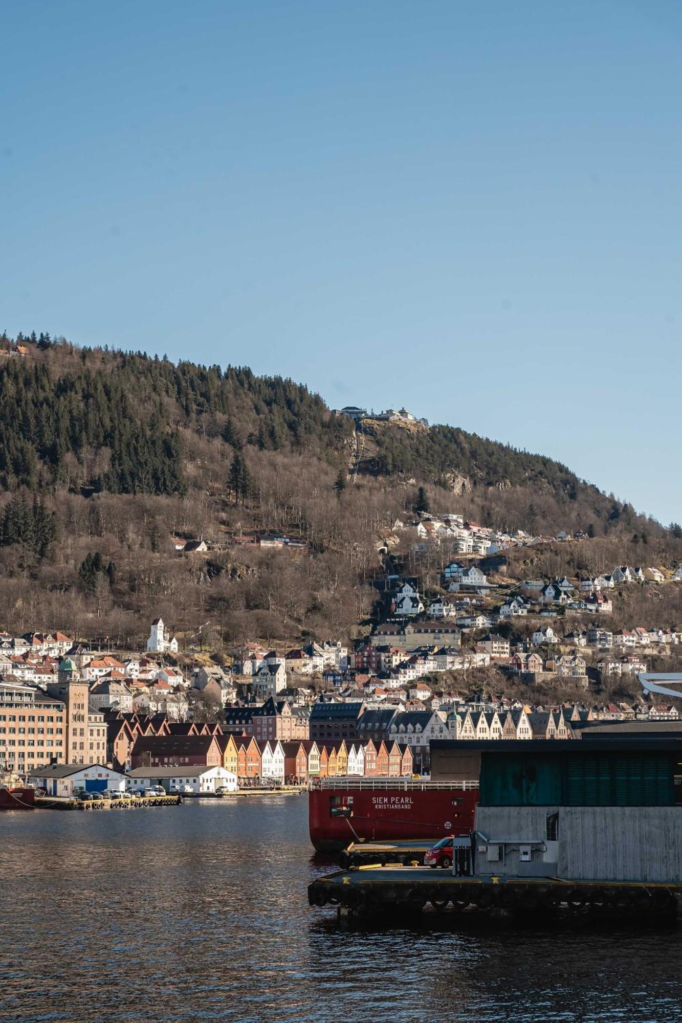 Apartment Dinbnb L 250m To Bryggen I Rooftop I Spacious Luxury Bergen