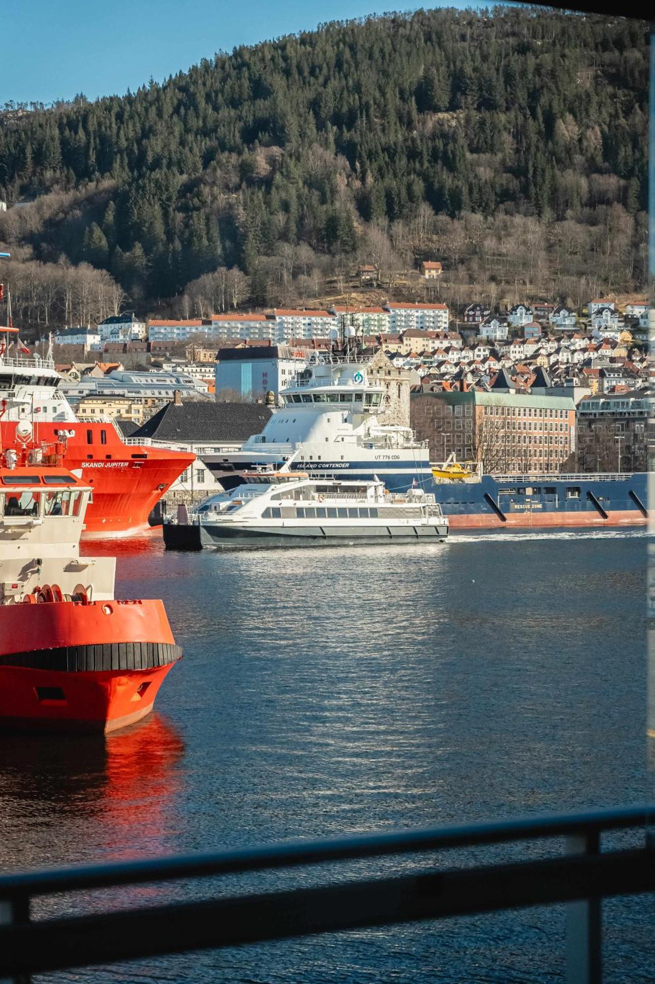 Dinbnb L 250m To Bryggen I Rooftop I Spacious Luxury * Bergen