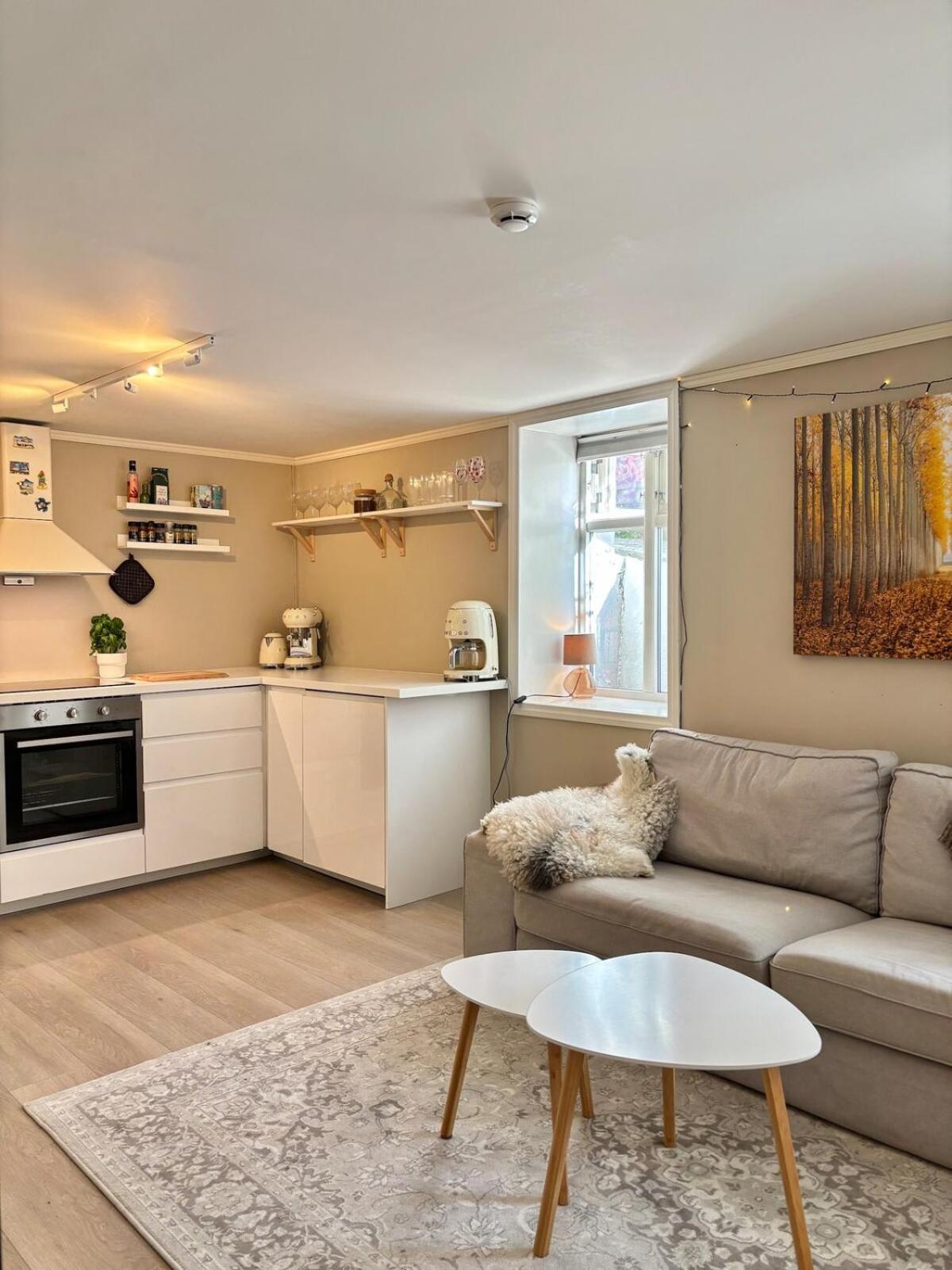 Apartment Behind Bryggen In Bergen Bergen