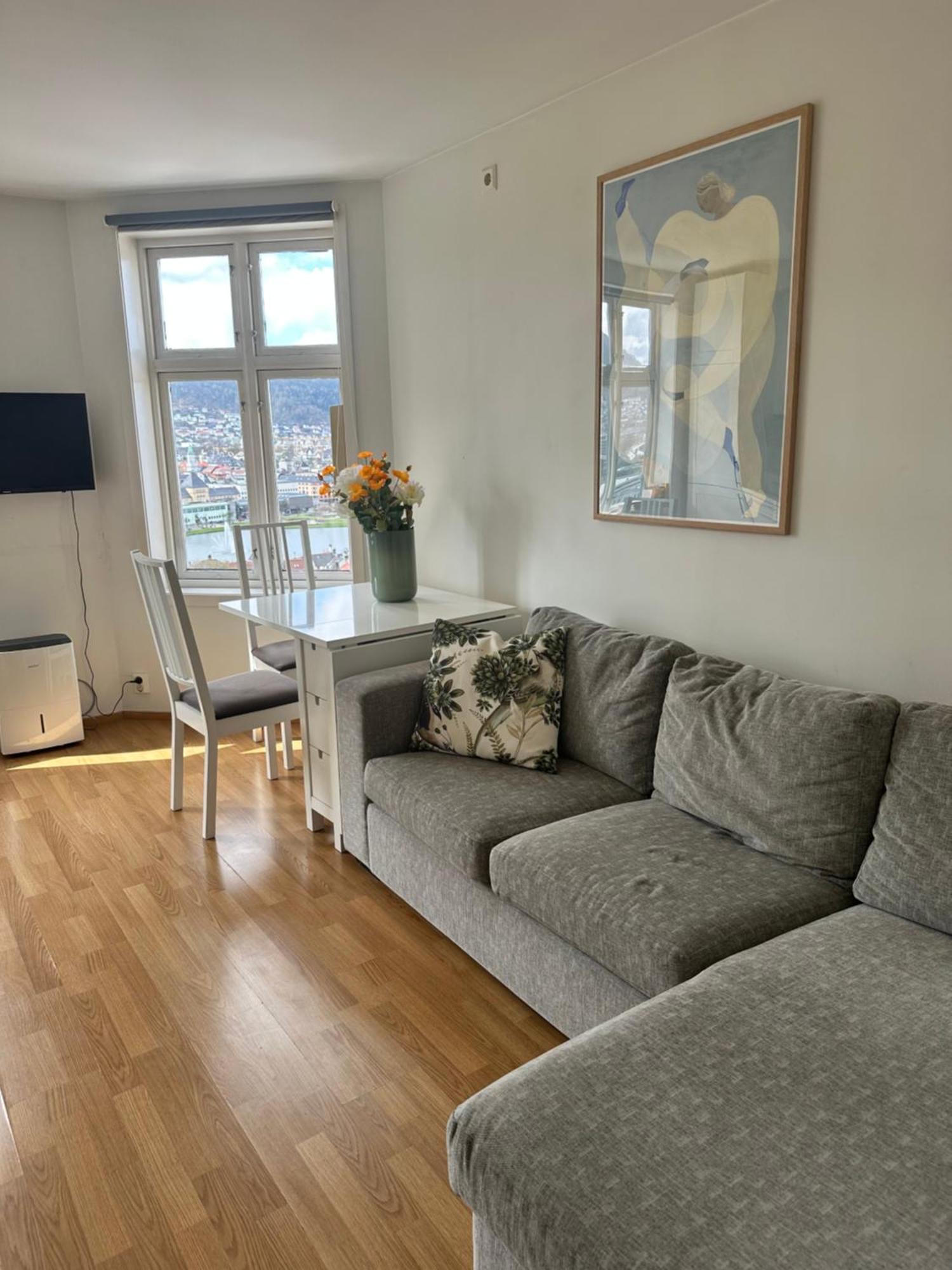 Outlook - View In Leilighet Bergen