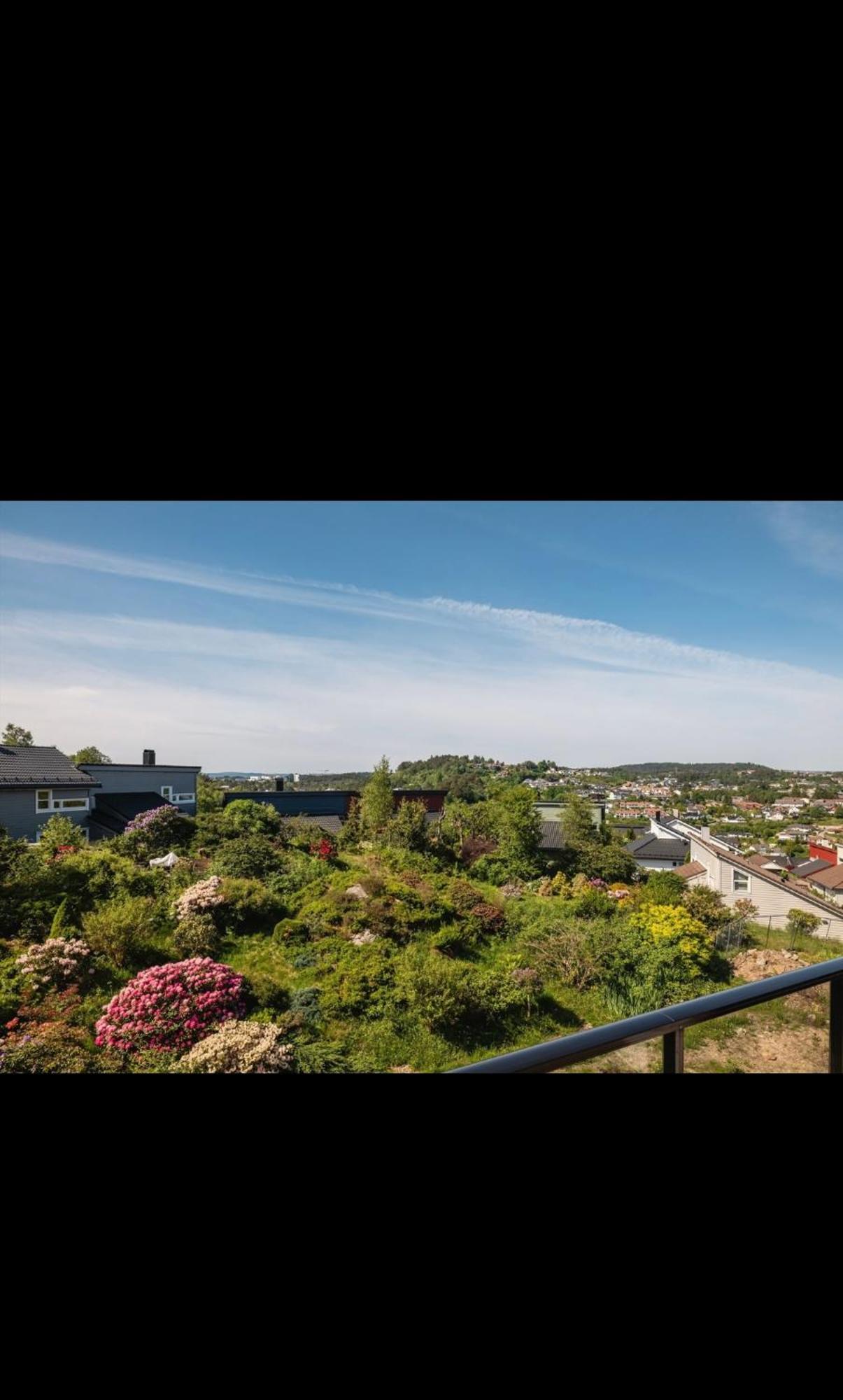 Stor Og Sentral Naer Lagunen Bergen