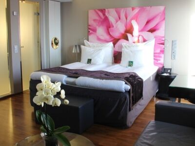Clarion Airport 4*