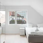 New Apartment In The City Center