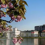 Spacious Historical Art Oasis In The City Center