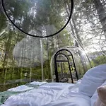 Magical Forest Haven Dome