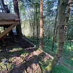 Magical Forest Haven Dome