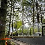 Magical Forest Haven Dome