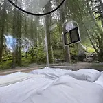 Magical Forest Haven Dome