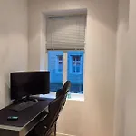 Luxurious City Apartment