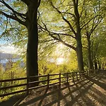 Modern Suites, Excellent Location In The Heart Of Bergen