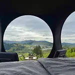 Birdbox Bergen