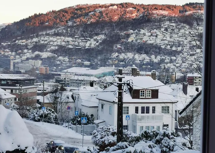 Spacious And Beautiful Apartment In Bergen With Free Parking