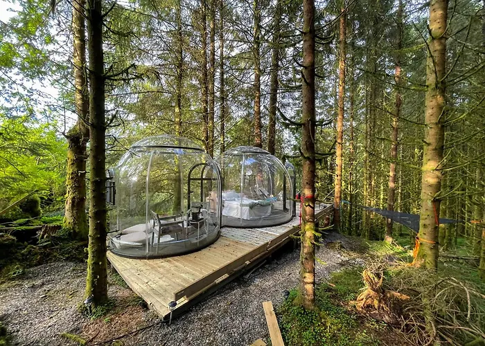 Magical Forest Haven Dome