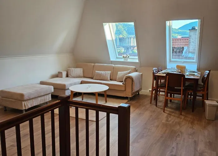 3 Bedroom Apartment In Heart Of Bergen